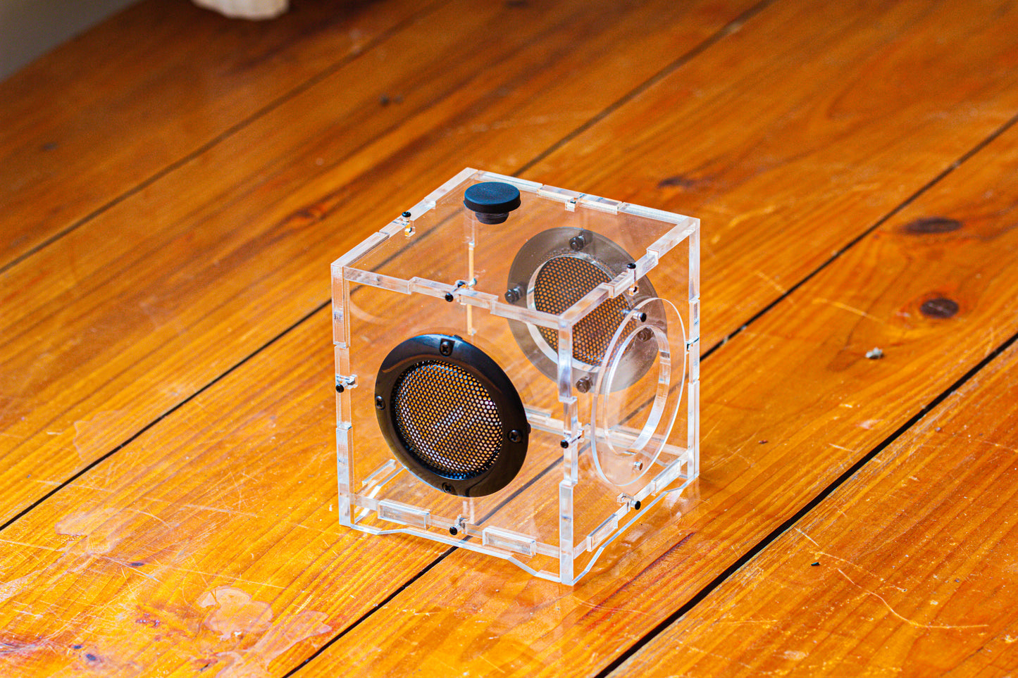 crapelles 4x4x4” Jumping Spider Acrylic Enclosure, Terrarium, With Magnetic Door, Mesh Vent, Feeding Hole (Decors Excluded)