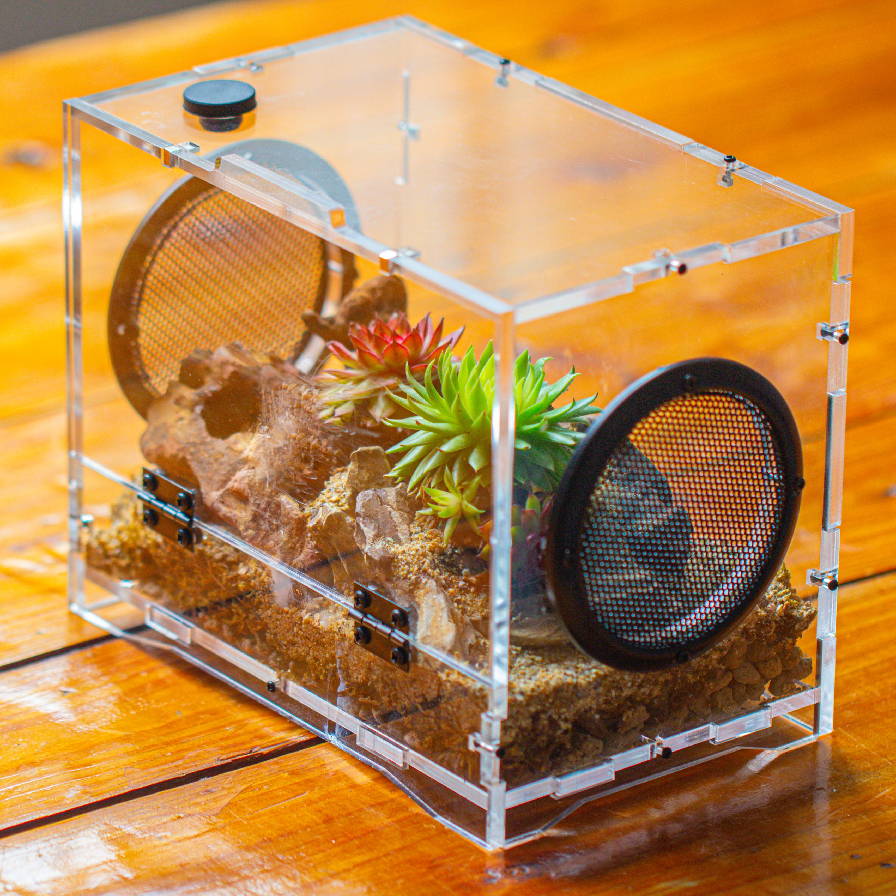 crapelles 8x5x6” Jumping Spider Acrylic Enclosure, Terrarium, With Magnetic Door, Mesh Vent, Feeding Hole (Decors Excluded)