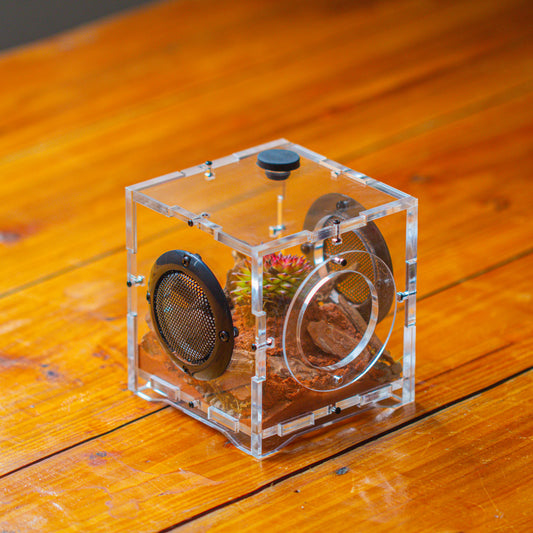 crapelles 4x4x4” Jumping Spider Acrylic Enclosure, Terrarium, With Magnetic Door, Mesh Vent, Feeding Hole (Decors Excluded)