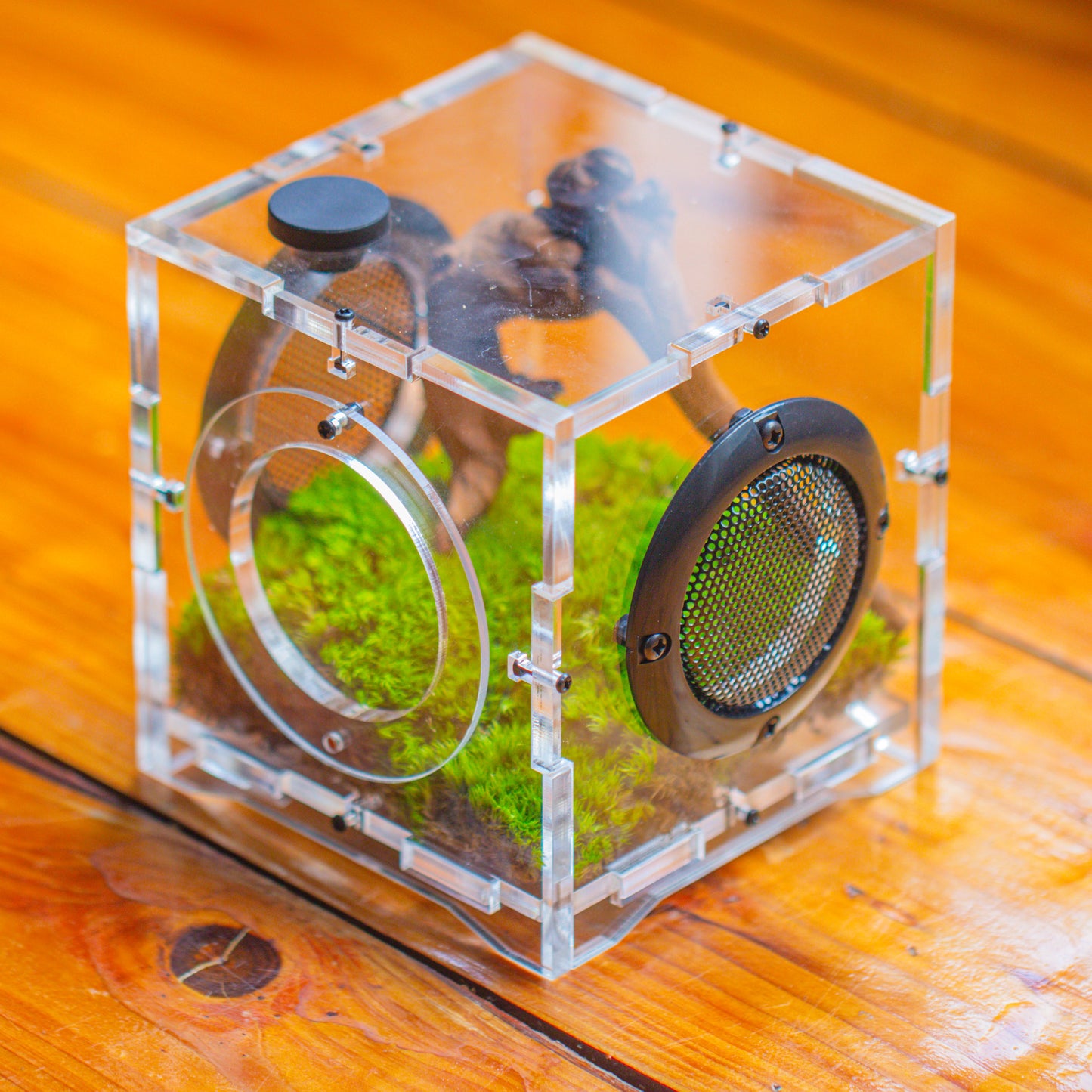 crapelles 4x4x4” Jumping Spider Acrylic Enclosure DIY Kit, Terrarium With Magnetic Door, Mesh Vent, Feeding Hole, Moss, Rock, Drift Wood