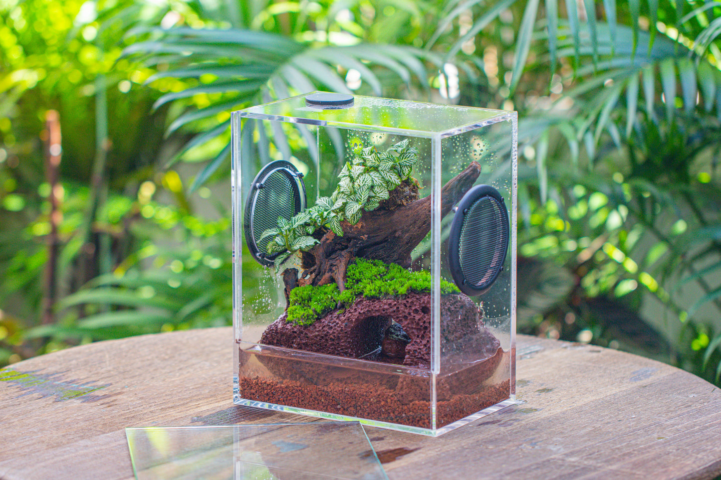 crapelles Handmade Water Tight Rectangular Acrylic Insect Enclosure, with Metal Mesh Vents, with Top Feeding Hole