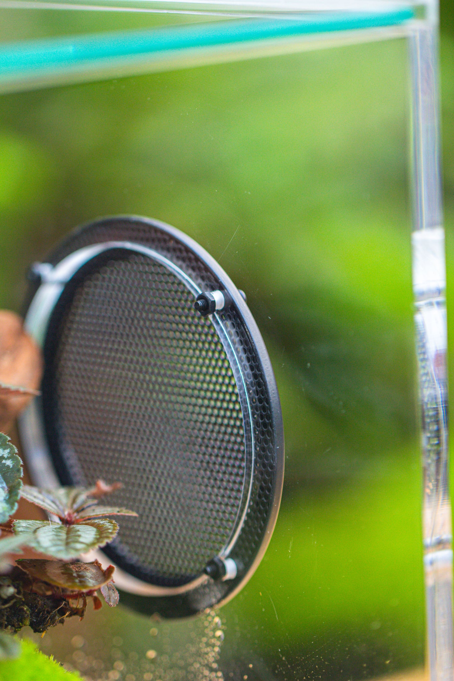 crapelles Handmade Cube Acrylic Closed Enclosure Terrarium, with Metal Mesh Vents, Drainage Bottom, for Plants, Spiders, Small Insects