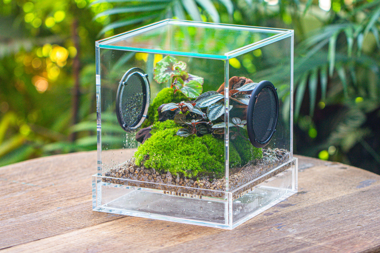 crapelles Handmade Cube Acrylic Closed Enclosure Terrarium, with Metal Mesh Vents, Drainage Bottom, for Plants, Spiders, Small Insects