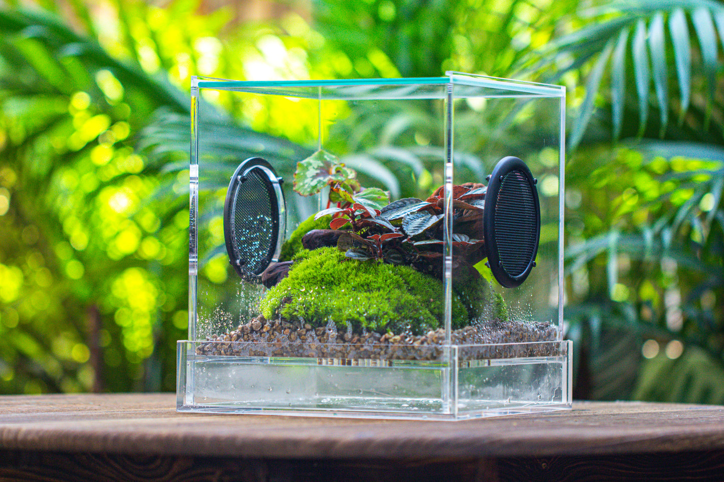 crapelles Handmade Cube Acrylic Closed Enclosure Terrarium, with Metal Mesh Vents, Drainage Bottom, for Plants, Spiders, Small Insects