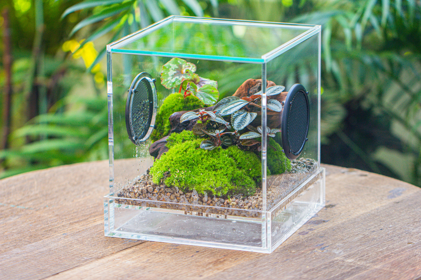 crapelles Handmade Cube Acrylic Closed Enclosure Terrarium, with Metal Mesh Vents, Drainage Bottom, for Plants, Spiders, Small Insects