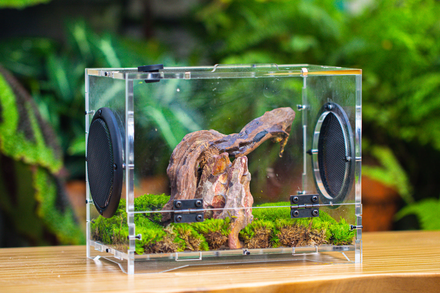 crapelles 8x5x6” Jumping Spider Acrylic Enclosure DIY Kit, Terrarium, With Magnetic Door, Mesh Vent, Feeding Hole, Moss, Rock, Drift Wood