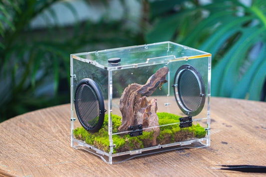 crapelles 8x5x6” Jumping Spider Acrylic Enclosure DIY Kit, Terrarium, With Magnetic Door, Mesh Vent, Feeding Hole, Moss, Rock, Drift Wood