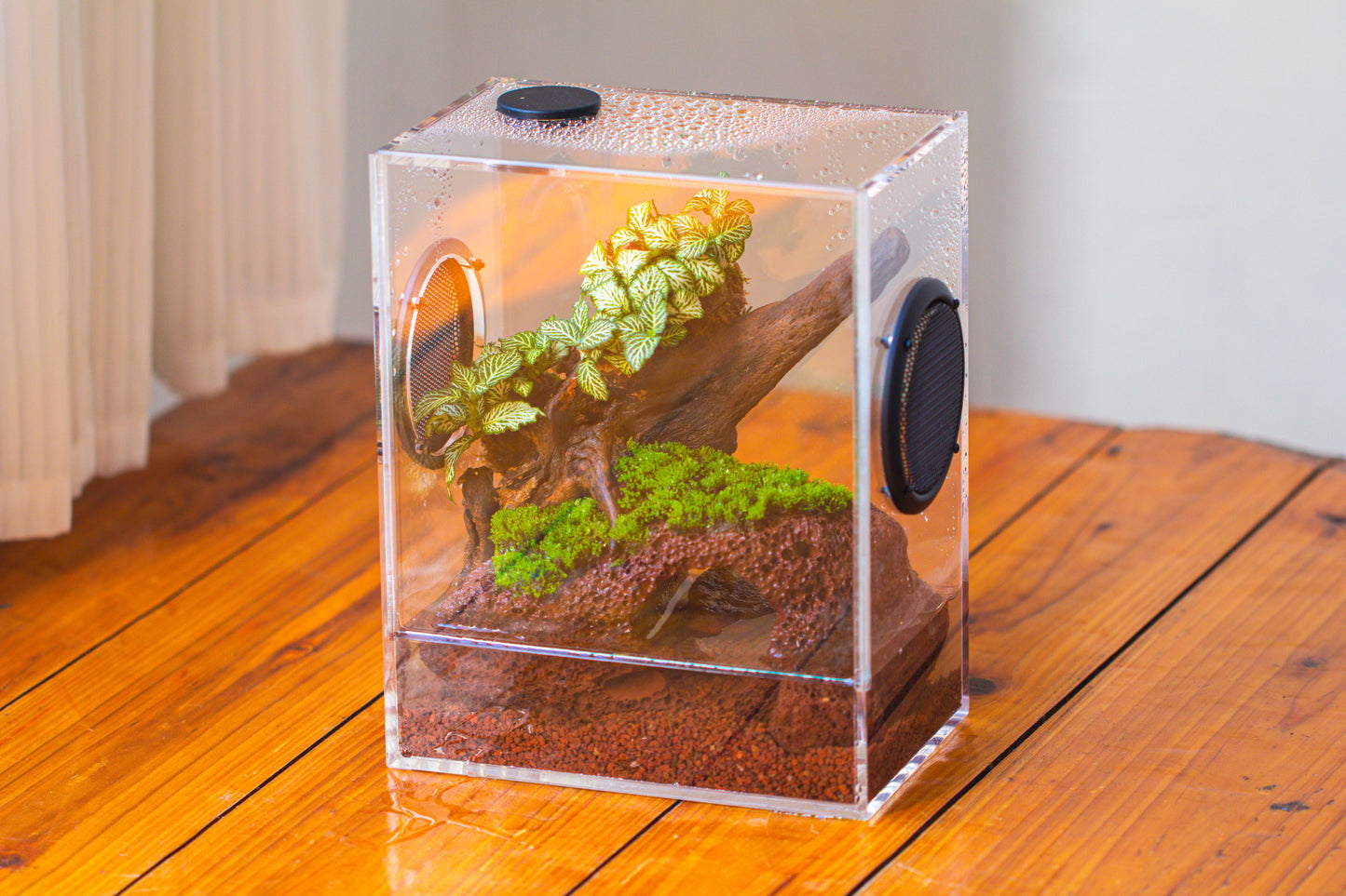 crapelles Handmade Water Tight Rectangular Acrylic Insect Enclosure, with Metal Mesh Vents, with Top Feeding Hole