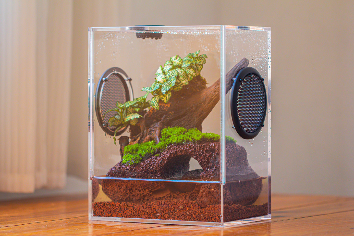 crapelles Handmade Water Tight Rectangular Acrylic Insect Enclosure, with Metal Mesh Vents, with Top Feeding Hole