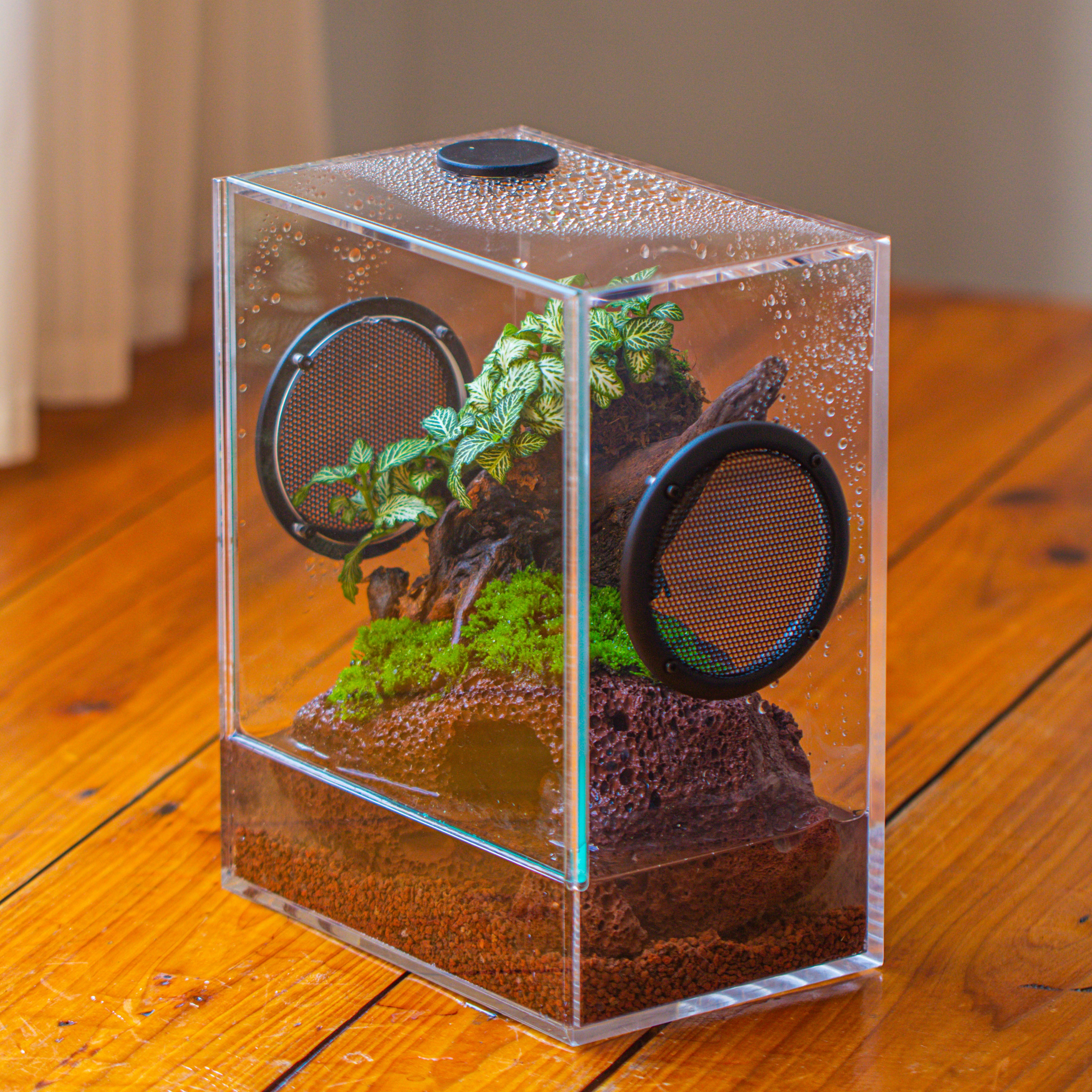 crapelles Handmade Water Tight Rectangular Acrylic Insect Enclosure, with Metal Mesh Vents, with Top Feeding Hole