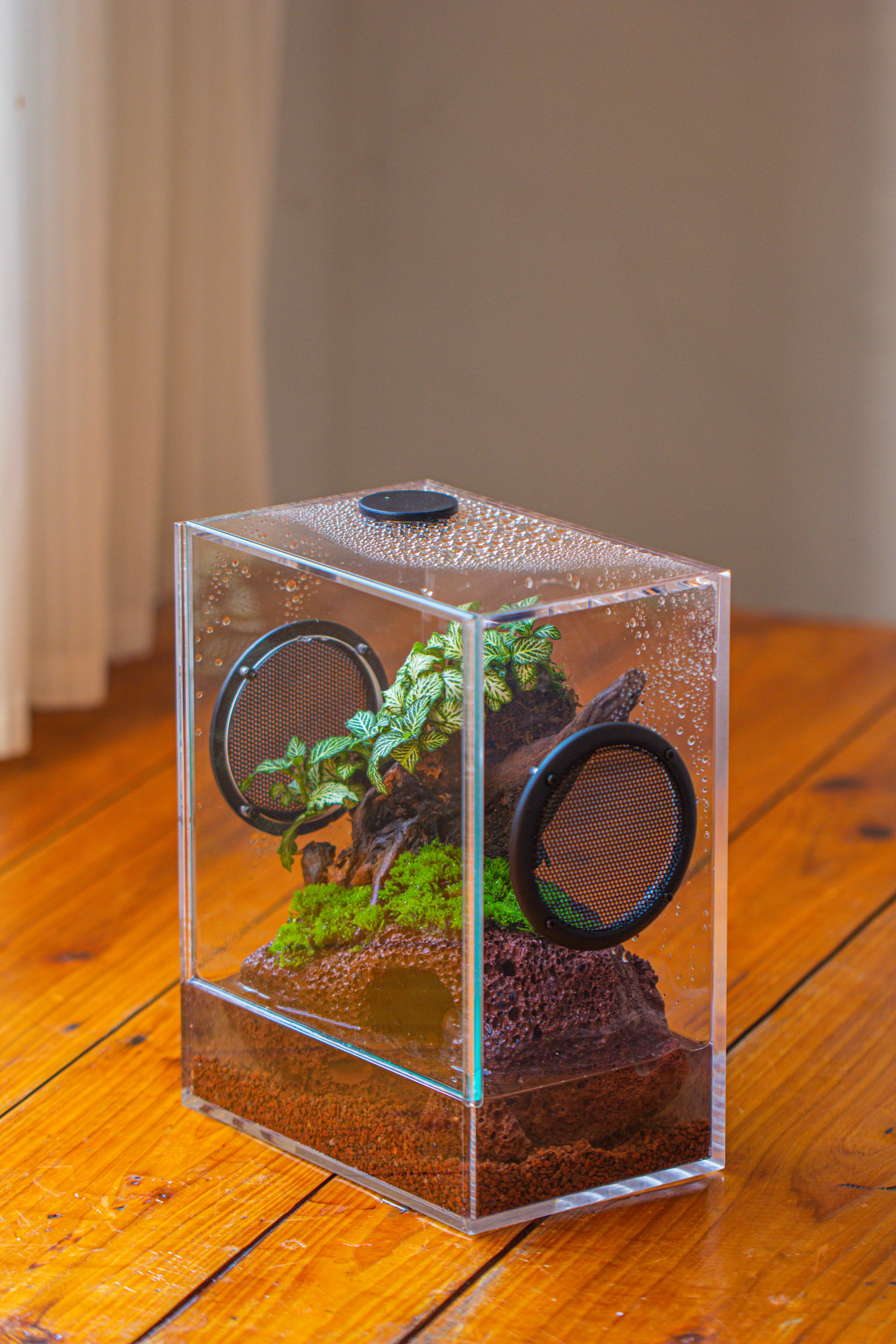 Proper Insect Inclosure crapelles Handmade Water Tight Rectangular Acrylic Insect Enclosure, w