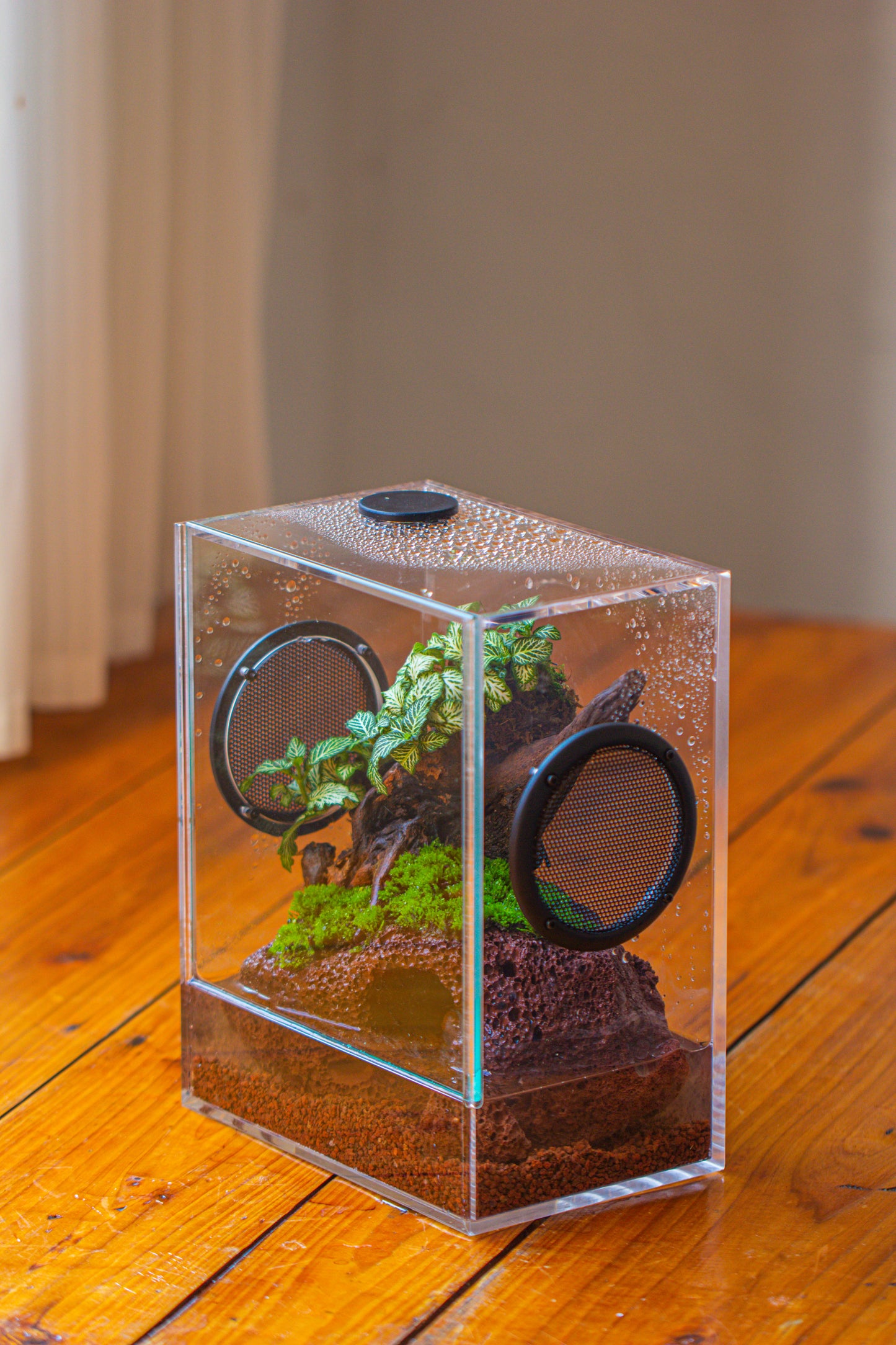 crapelles Handmade Water Tight Rectangular Acrylic Insect Enclosure, with Metal Mesh Vents, with Top Feeding Hole