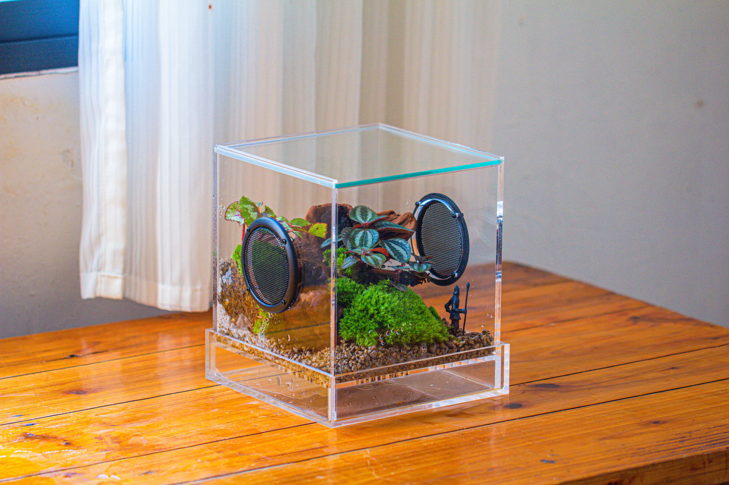 crapelles Handmade Cube Acrylic Closed Enclosure Terrarium, with Metal Mesh Vents, Drainage Bottom, for Plants, Spiders, Small Insects