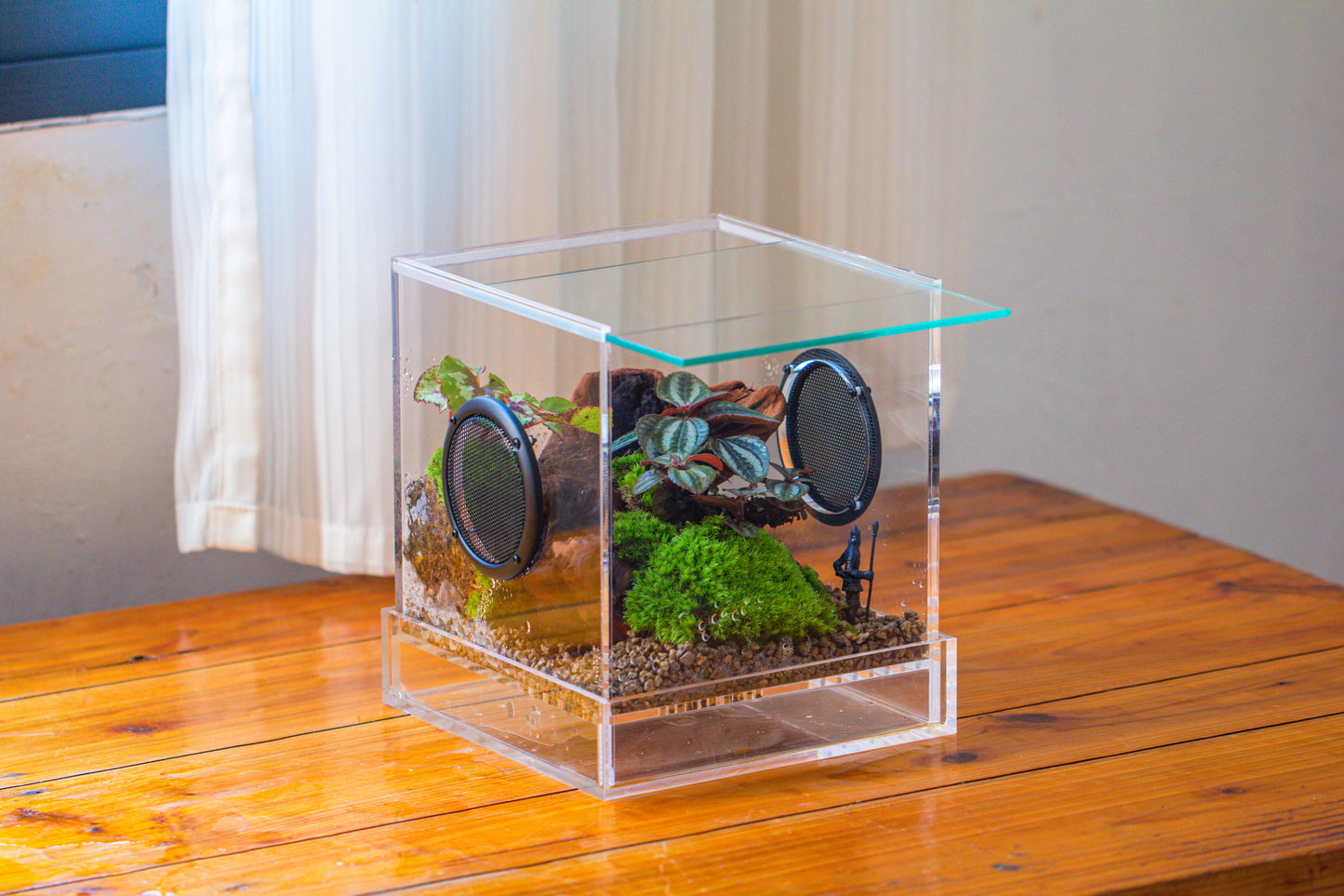 crapelles Handmade Cube Acrylic Closed Enclosure Terrarium, with Metal Mesh Vents, Drainage Bottom, for Plants, Spiders, Small Insects