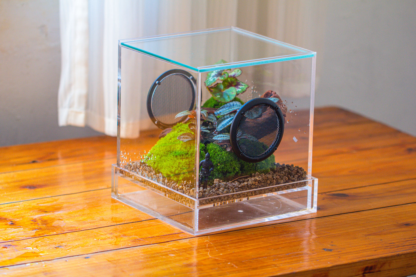 crapelles Handmade Cube Acrylic Closed Enclosure Terrarium, with Metal Mesh Vents, Drainage Bottom, for Plants, Spiders, Small Insects