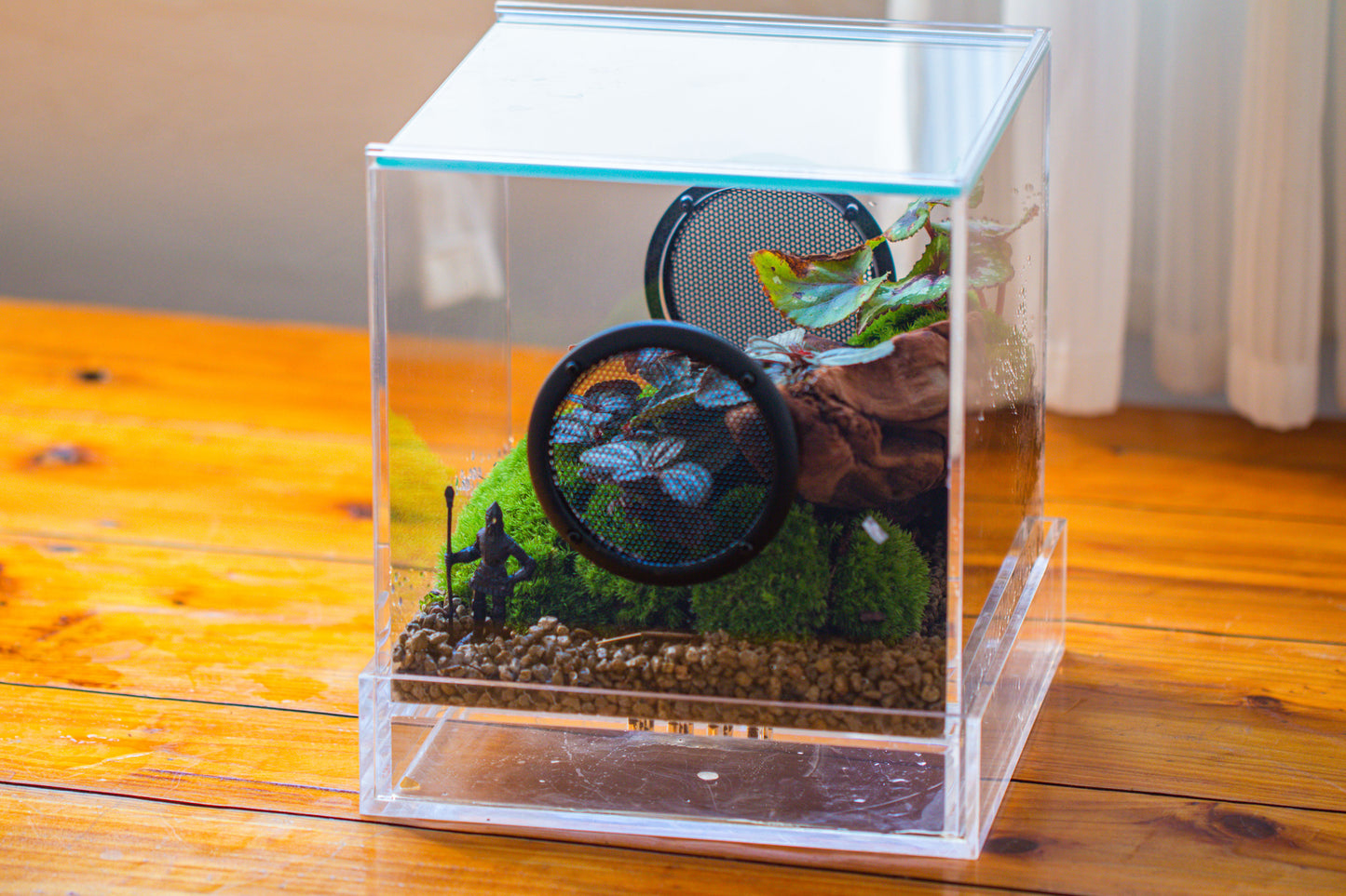 crapelles Handmade Cube Acrylic Closed Enclosure Terrarium, with Metal Mesh Vents, Drainage Bottom, for Plants, Spiders, Small Insects