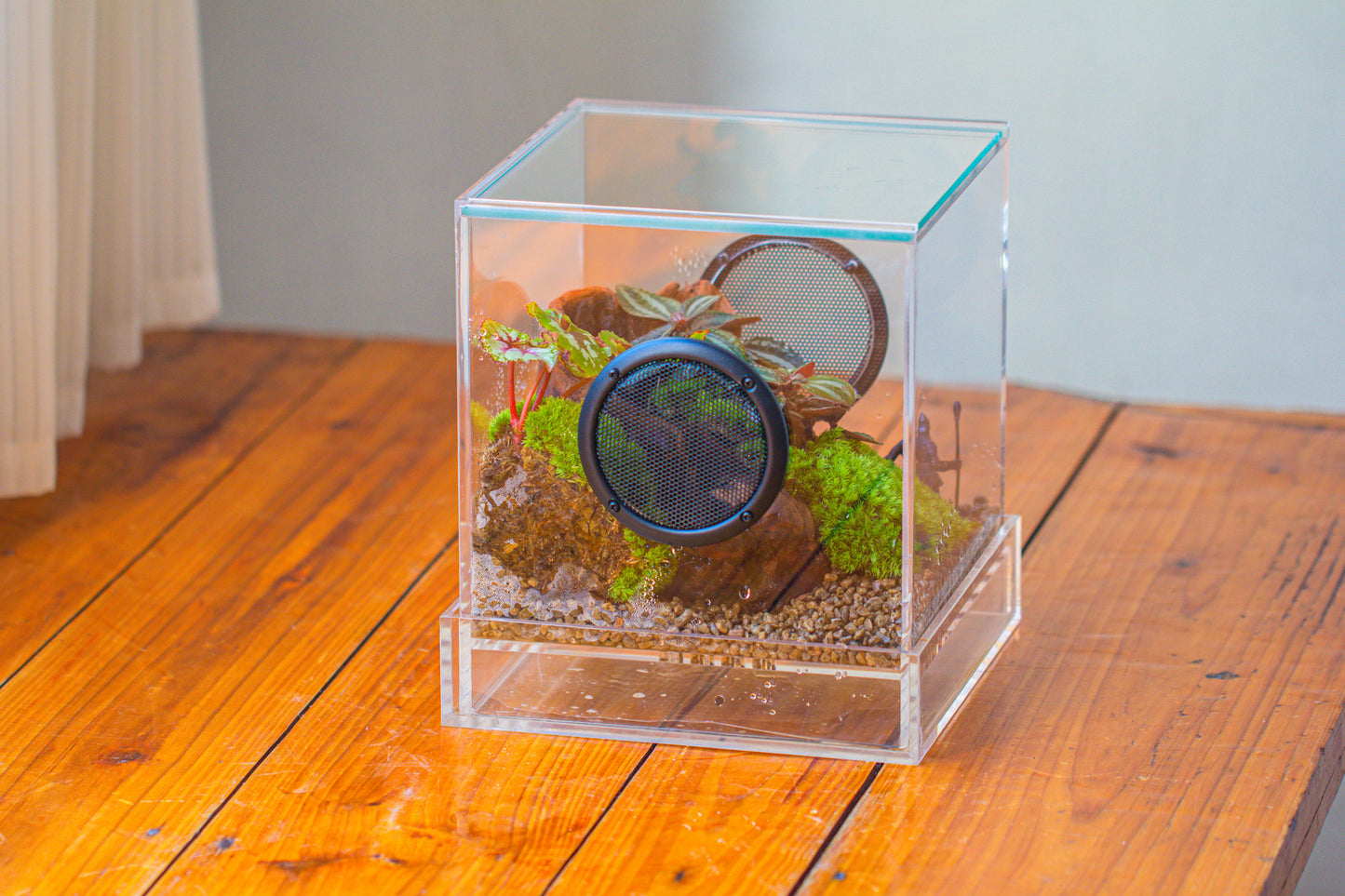 crapelles Handmade Cube Acrylic Closed Enclosure Terrarium, with Metal Mesh Vents, Drainage Bottom, for Plants, Spiders, Small Insects