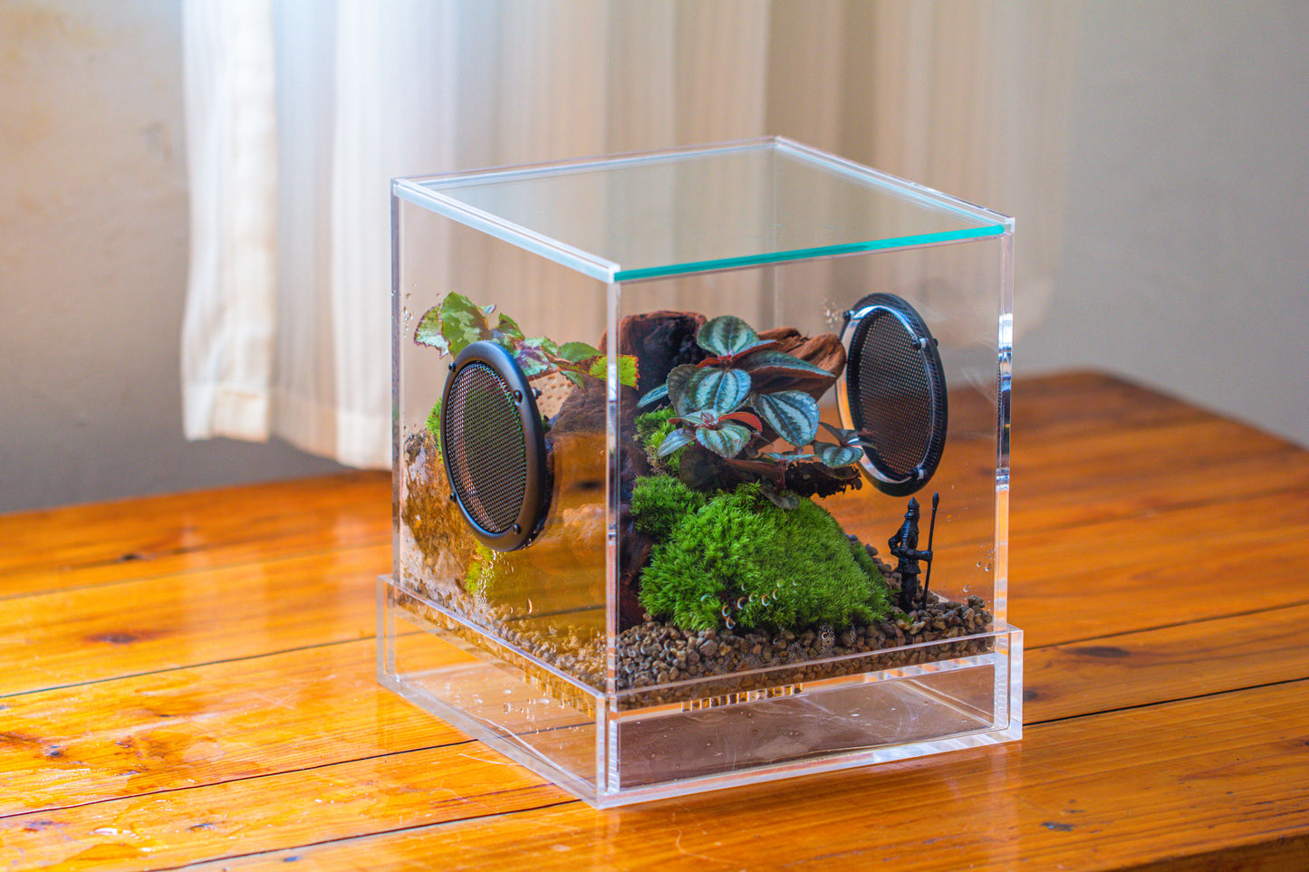 crapelles Handmade Cube Acrylic Closed Enclosure Terrarium, with Metal Mesh Vents, Drainage Bottom, for Plants, Spiders, Small Insects