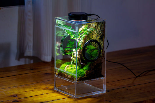 crapelles Handmade Acrylic Closed Enclosure Terrarium, with Metal Mesh Vents, Top Feeding Hole, Drainage Bottom for Plants, Spiders, Small Insects