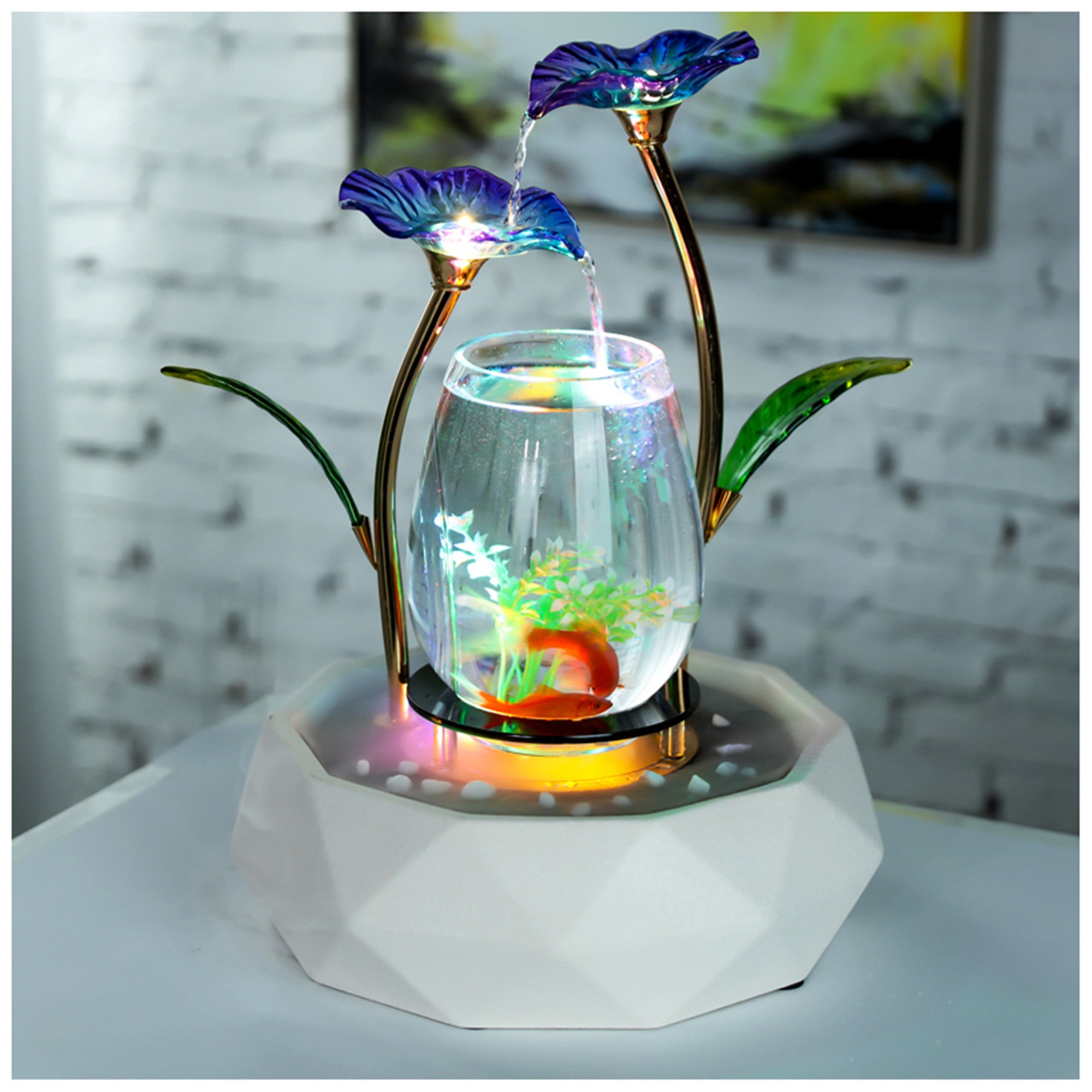 Tabletop discount fish tank