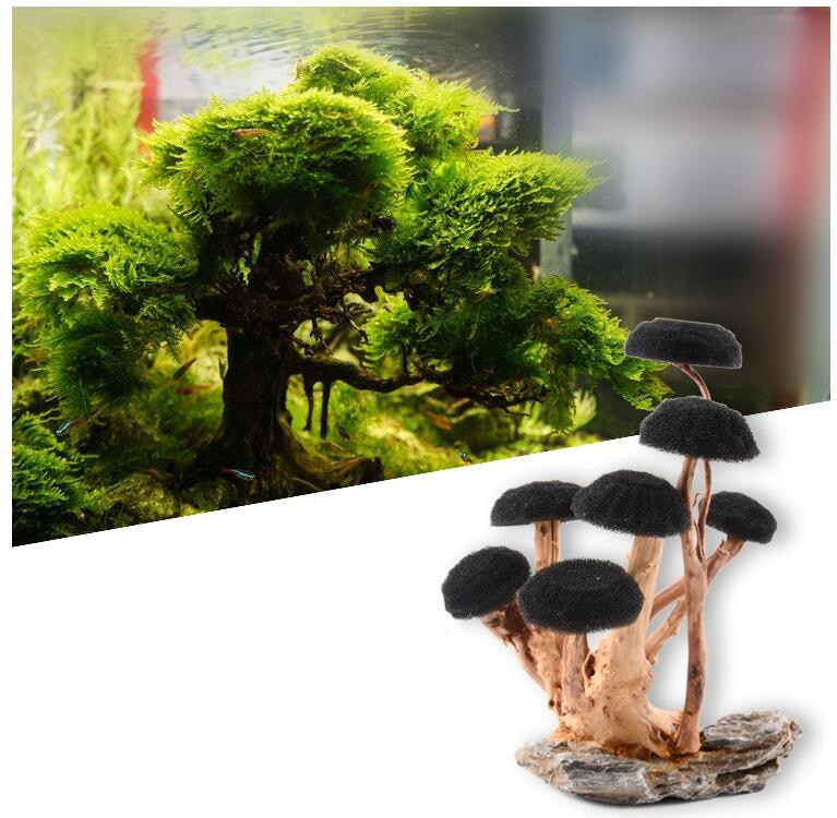 Planted Tank Tree