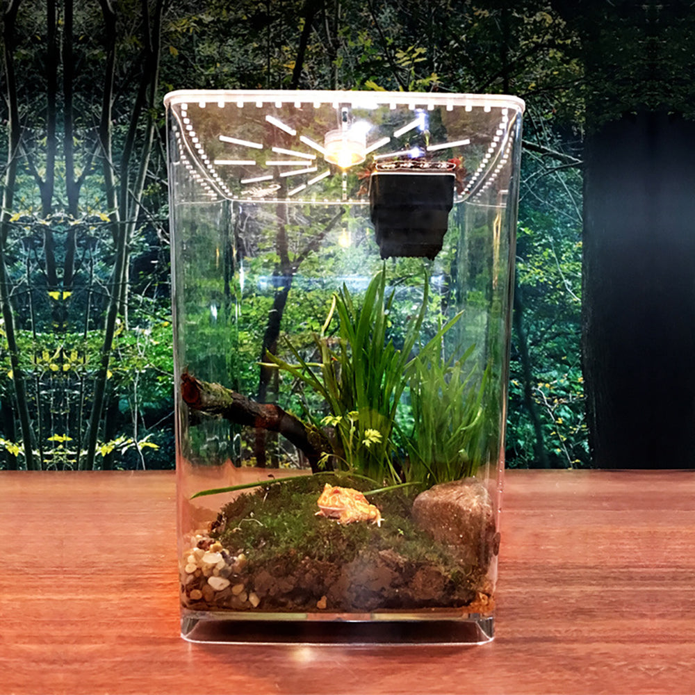 Tall Transparent Desktop Acrylic Spider Insect Habitat Case Box  Ecosystem Planter