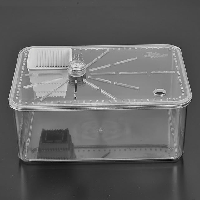 Square Transparent Desktop Acrylic Spider Insect Habitat Case Box  Ecosystem Planter