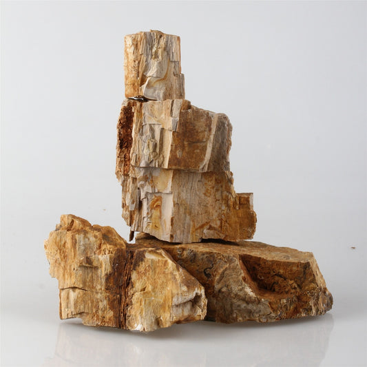 Natural Petrified Wood Stone for Bonsai Fish Tank Aquarium landscaping
