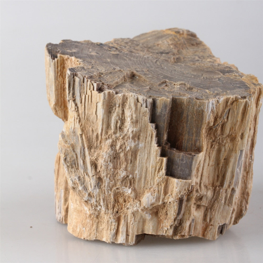 Natural Wood Stone Aquarium Rocks Petrified Wood from China