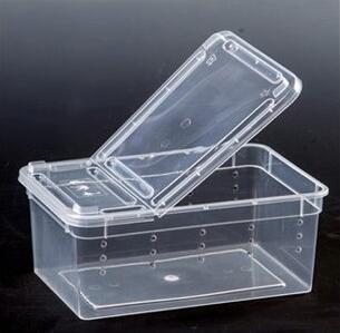 Reptile Gecko Lizard Tarantula Spider Insect Turtle Transparent Stackable Habitat Breeder Box Transport Hibernation